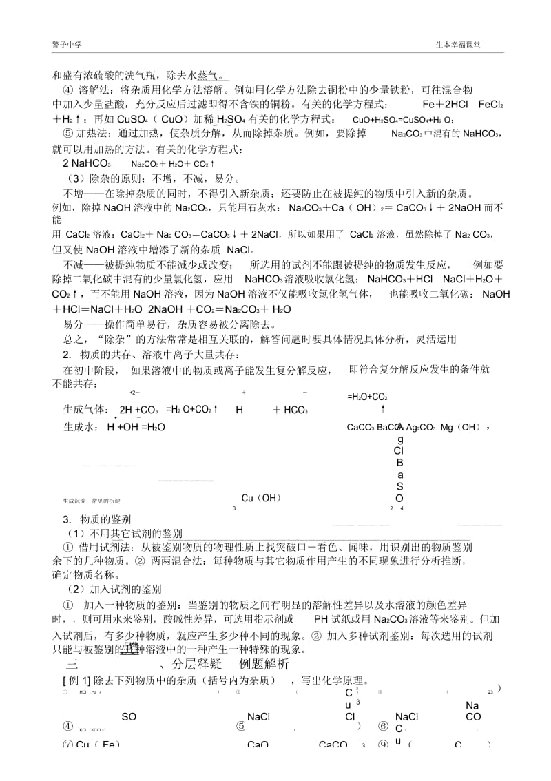 酸碱盐部分的典型习题--除杂、共存、鉴别.docx_第2页