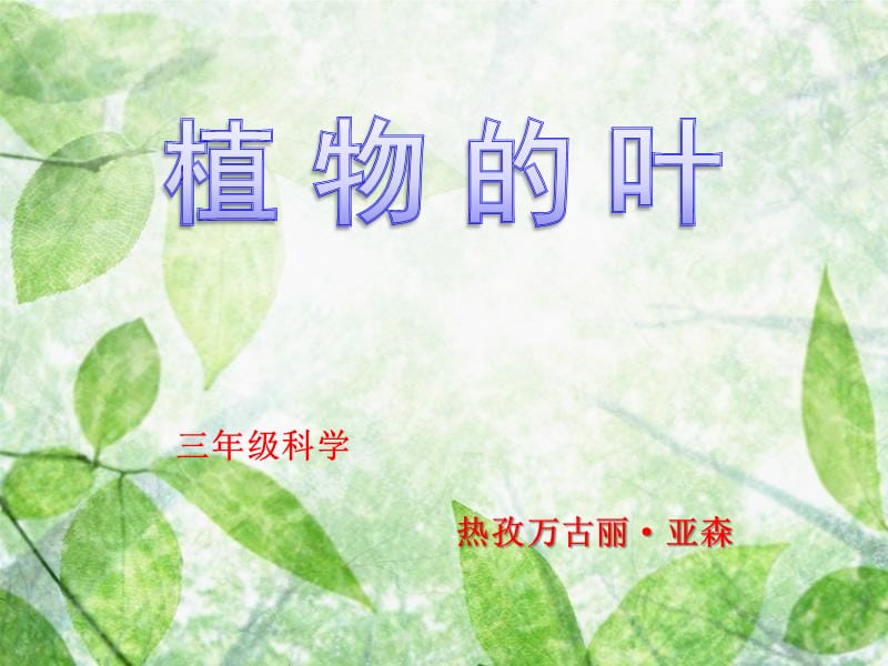 三年级上册植物的叶.ppt_第1页