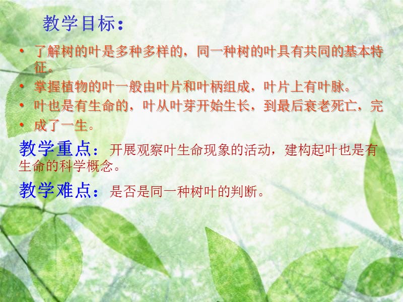 三年级上册植物的叶.ppt_第2页