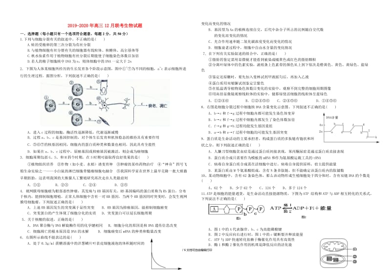 2019-2020年高三12月联考生物试题.doc_第1页