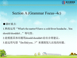 《SectionA(GrammarFocus~4c)》导学案.ppt