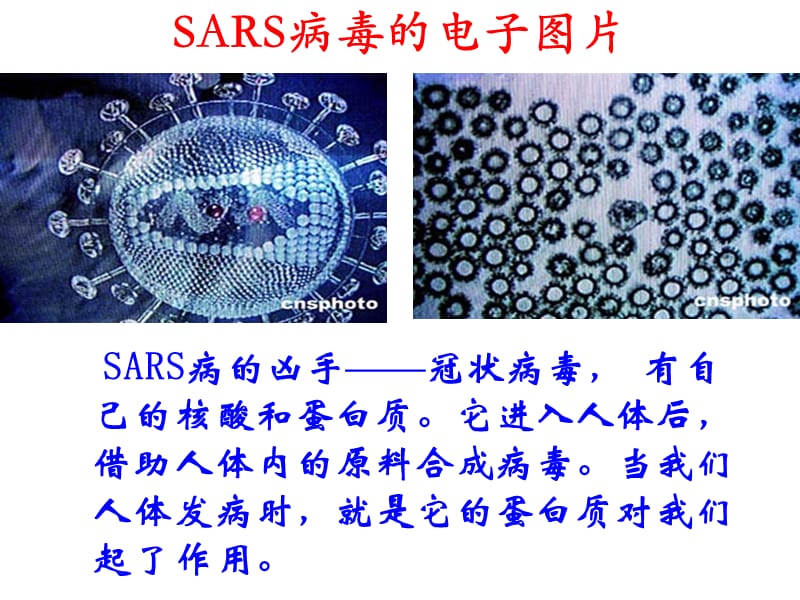 化学选修5第4章第3节教学课件1.ppt_第2页