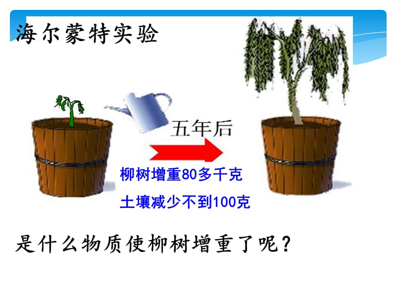 光合作用吸收二氧化碳释放氧气.ppt_第2页