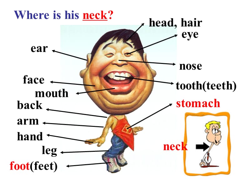 八年级下册Unit1-sectionBreading.ppt_第3页