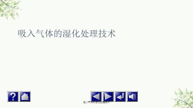 吸入气体的湿化处理技术课件.ppt_第1页