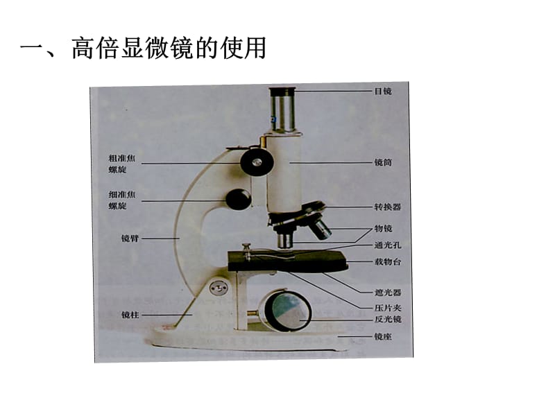 12细胞的多样性和统一性.pptx_第3页