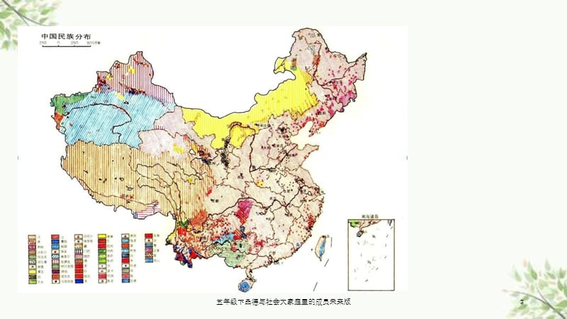 五年级下品德与社会大家庭里的成员未来版课件.ppt_第3页