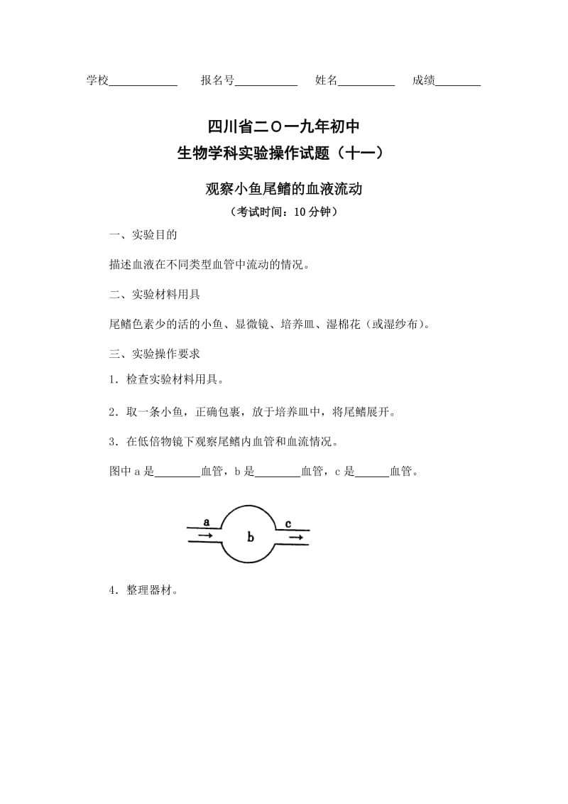 11观察小鱼尾鳍的血液流动.doc_第1页