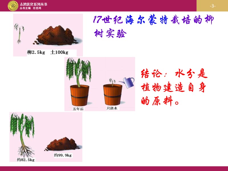 光合作用的原理和应用.ppt_第3页