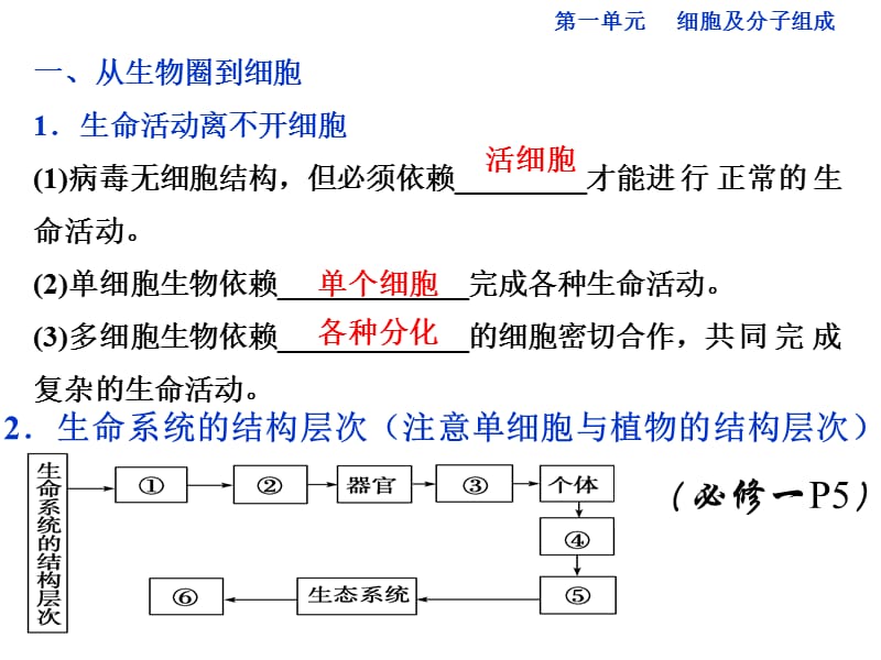 11走近细胞.ppt_第2页