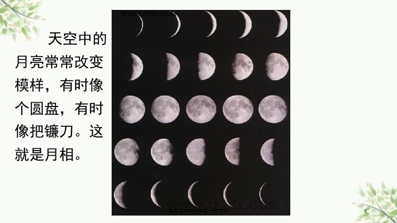 粤教版科学五年级下册月球课件.ppt_第3页