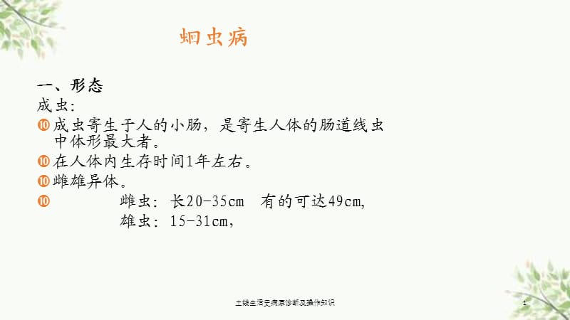 土线生活史病原诊断及操作知识课件.ppt_第1页