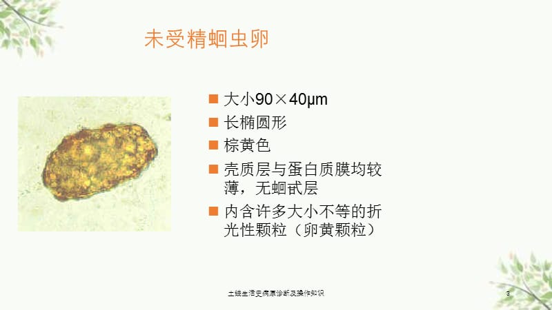 土线生活史病原诊断及操作知识课件.ppt_第3页