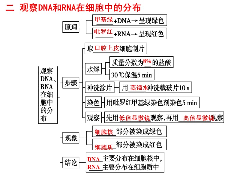 第二章第三四节核酸、糖类、脂质[已恢复][已恢复].ppt_第3页