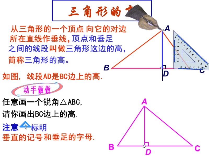 1112三角形的高、中线课件.pptx_第3页