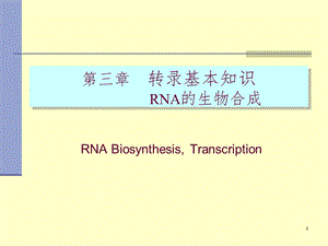 转录基本知识PPT课件.ppt