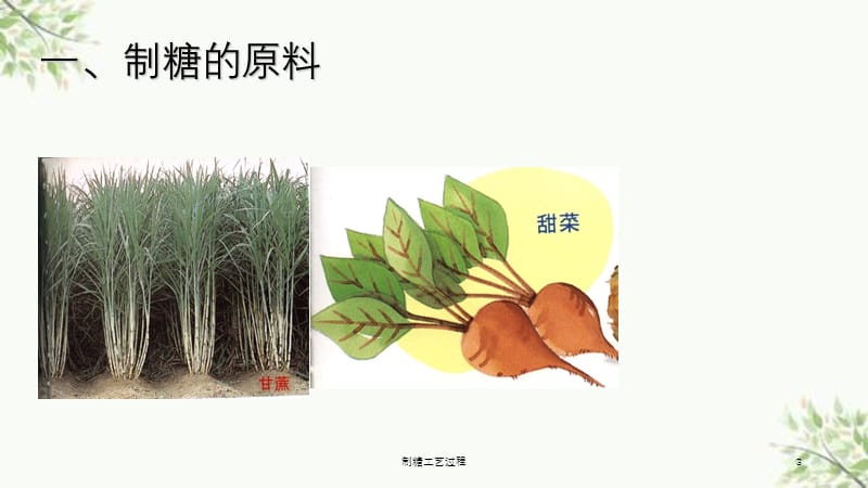 制糖工艺过程课件.ppt_第3页