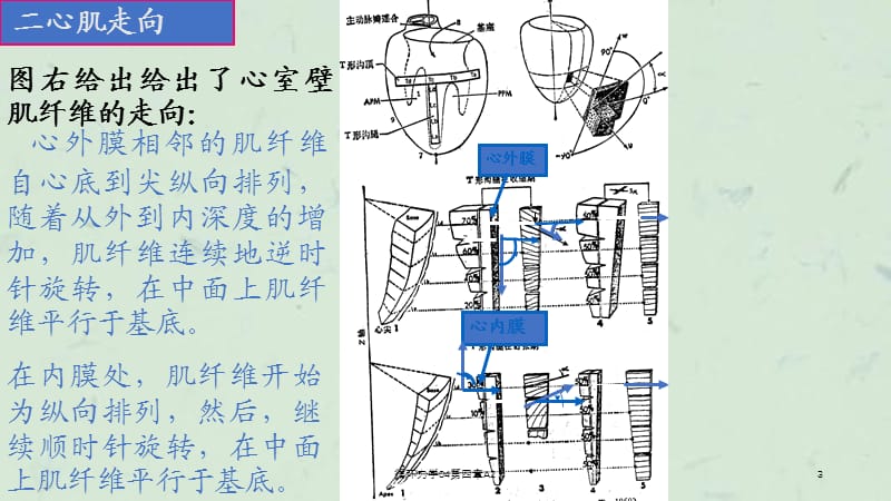 循环力学04第四章A2课件.ppt_第3页