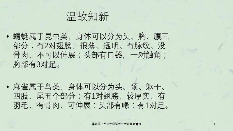 粤教版小学三年级科学下册鲫鱼与青蛙课件.ppt_第1页