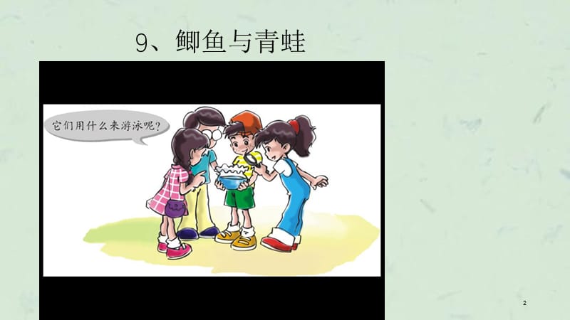 粤教版小学三年级科学下册鲫鱼与青蛙课件.ppt_第2页