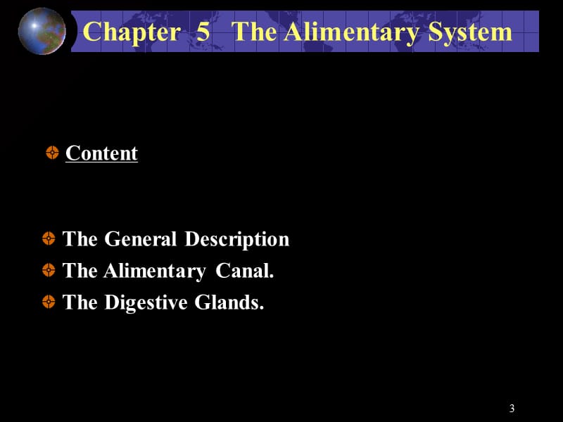 解破学生殖系统PPT课件.ppt_第3页