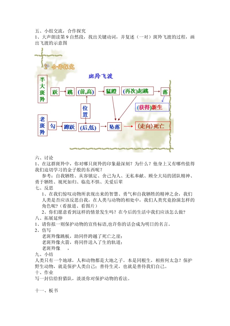 27斑羚飞度教案t.doc_第2页