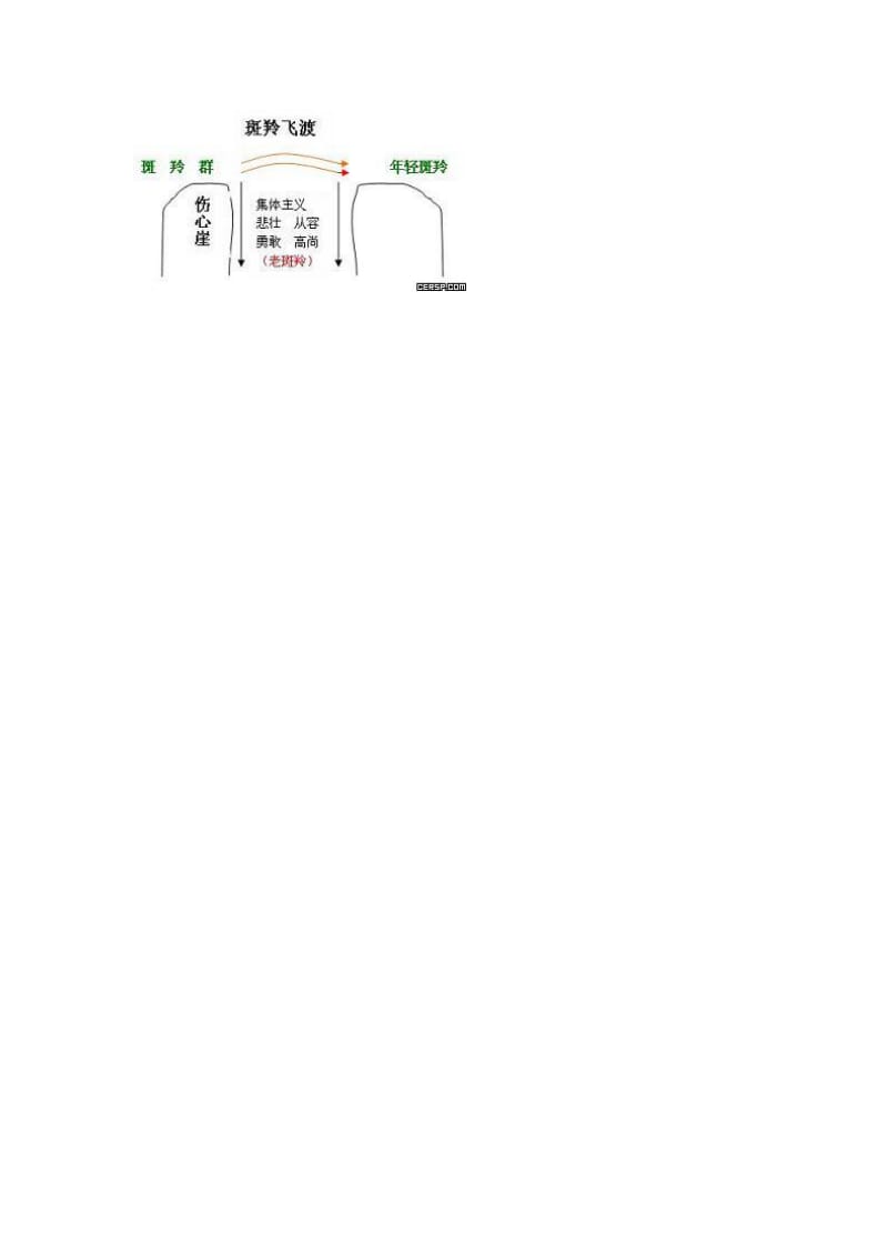 27斑羚飞度教案t.doc_第3页