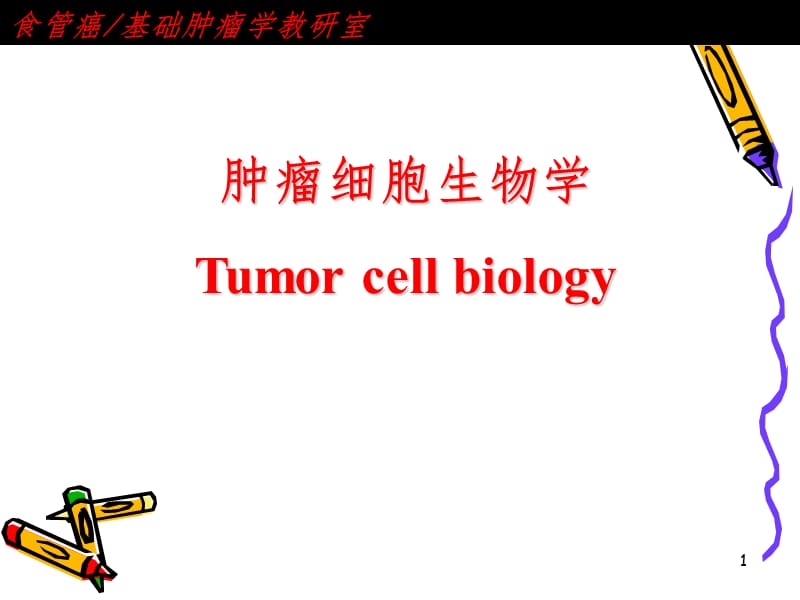 肿瘤细胞生物学PPT课件.ppt_第1页