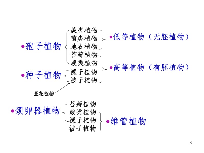 藻类植物PPT课件.ppt_第3页