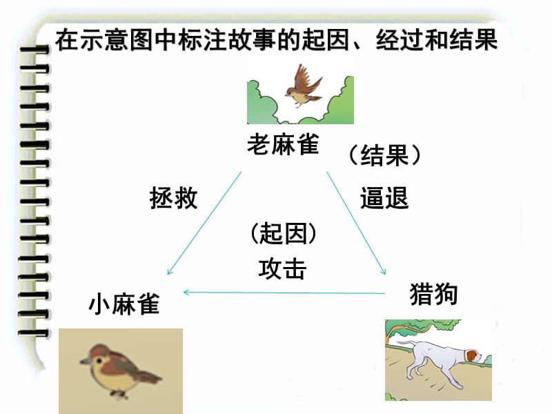 《麻雀》部编版四年级上册曾娉.ppt_第3页