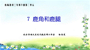 7《鹿角和鹿腿》.pptx