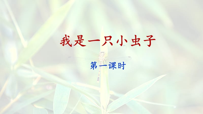 11《我是一只小虫子》课件（第1课时）.ppt_第1页