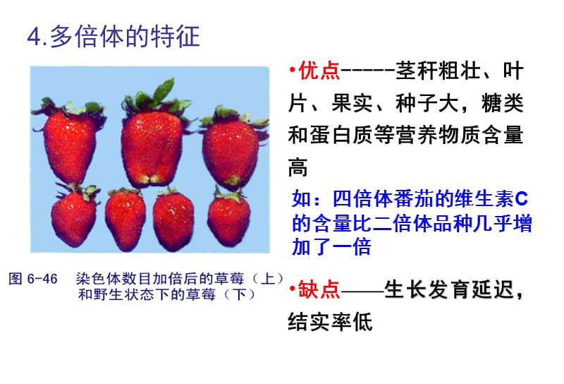 高中生物染色体变异.ppt_第3页