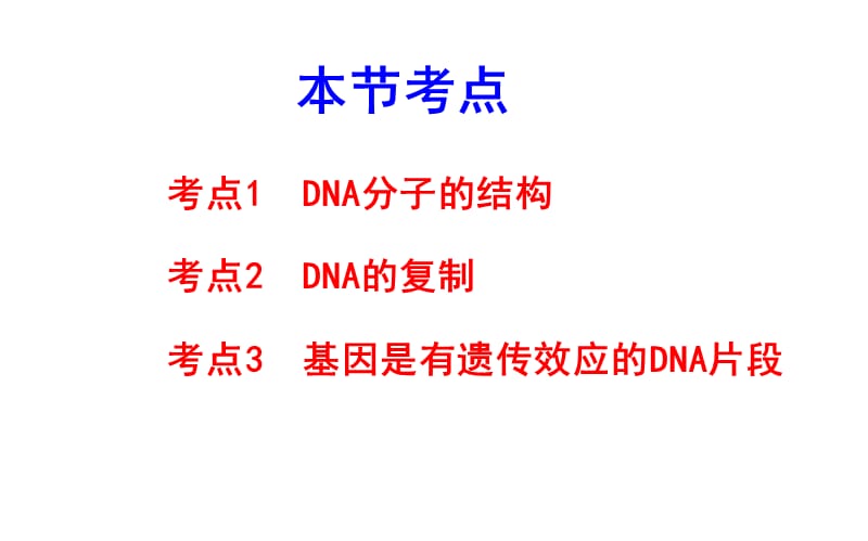 19DNA的结构、复制基因是有遗传效应的DNA片段.ppt_第2页