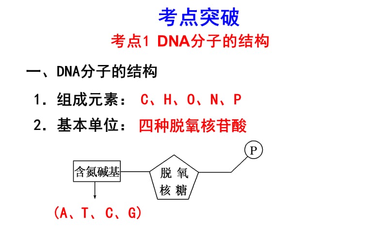 19DNA的结构、复制基因是有遗传效应的DNA片段.ppt_第3页