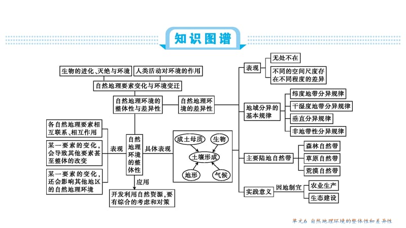 新考案第六单元总结.ppt_第2页