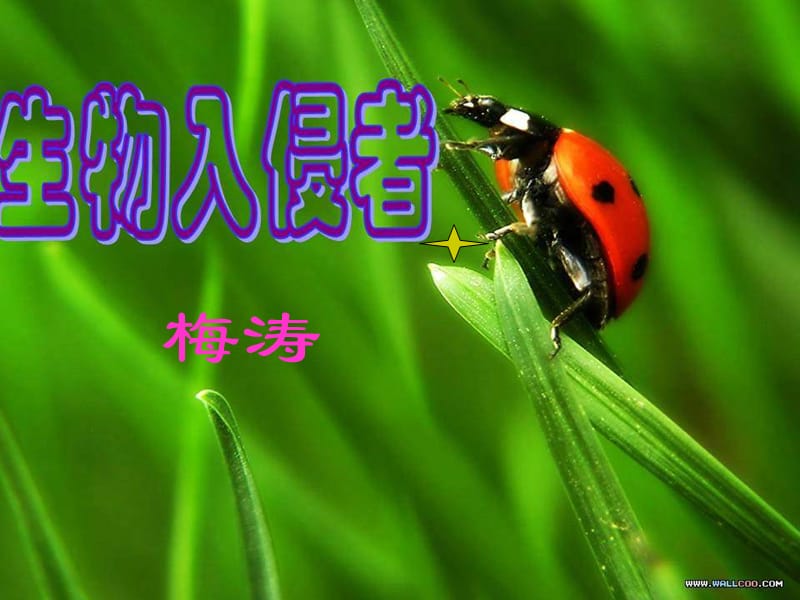 《生物入侵者》课件.ppt_第1页