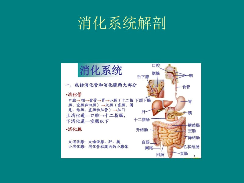 结肠癌病人护理常规PPT课件.ppt_第3页