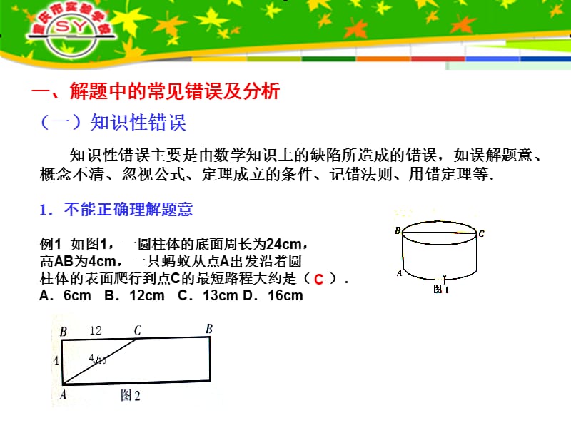 初中数学解题及案例分析.ppt_第2页