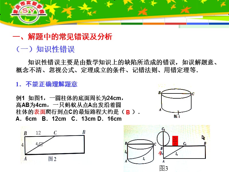 初中数学解题及案例分析.ppt_第3页