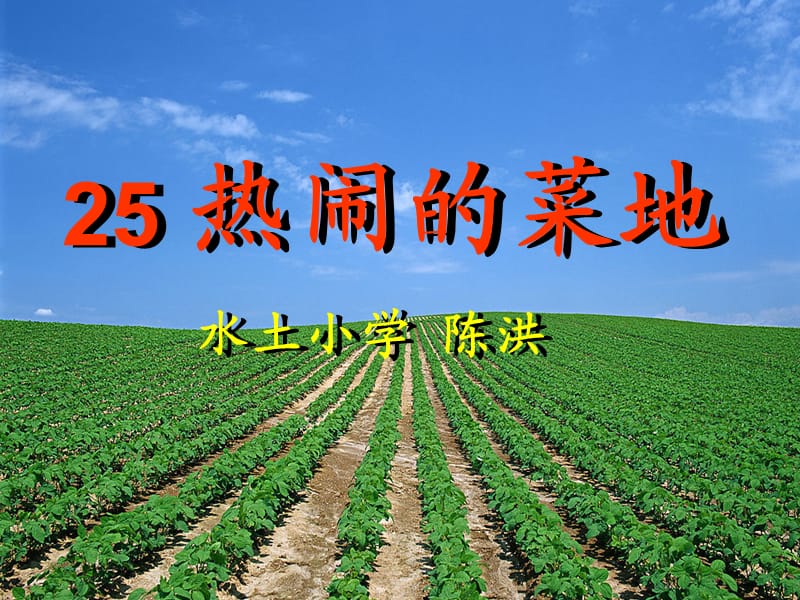 232—水土小学陈洪—课件—热闹的菜地.ppt_第1页