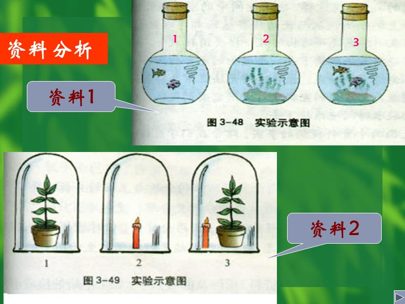 第三节空气与生命生物与碳氧平衡.ppt_第2页