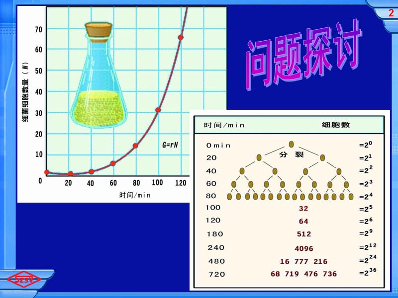 第2节种群数量的变化2.ppt_第2页