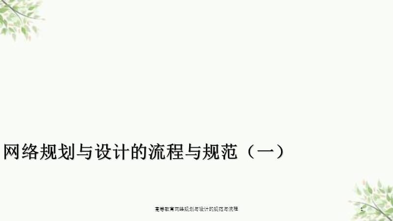 高等教育网络规划与设计的规范与流程课件.ppt_第1页