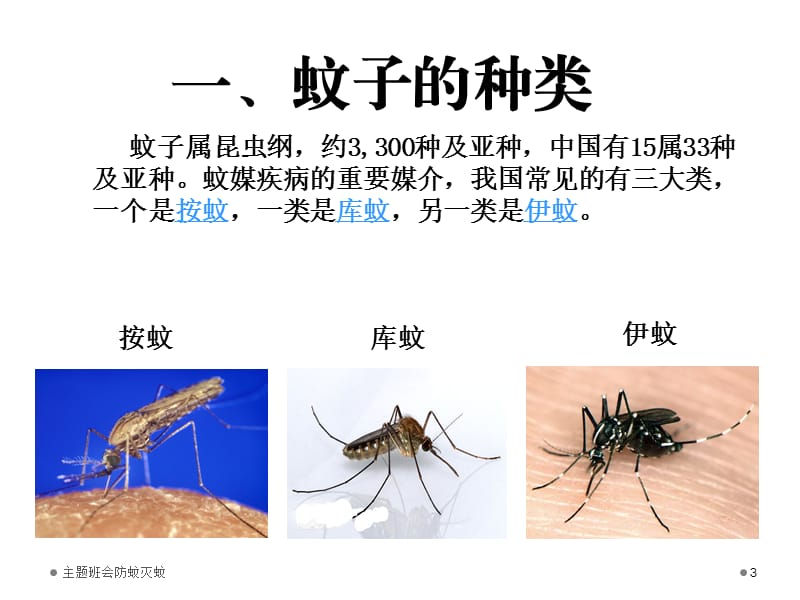 主题班会防蚊灭蚊课件.ppt_第3页