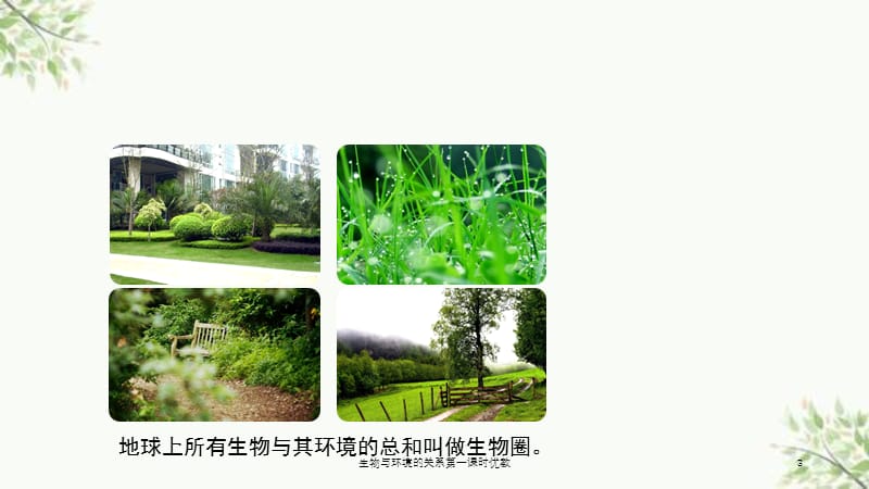 生物与环境的关系第一课时优教课件.ppt_第3页