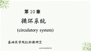 组织学与胚胎学循环系统课件.ppt