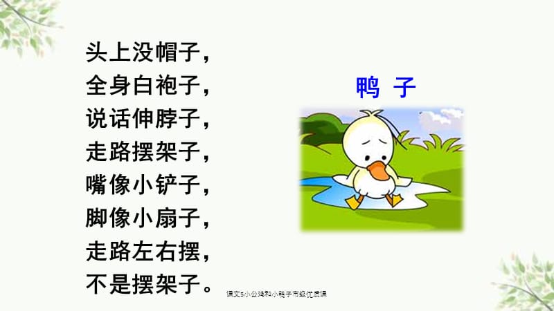 课文5小公鸡和小鸭子市级优质课课件.ppt_第3页