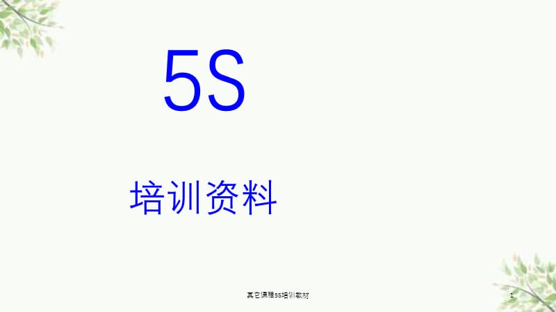 其它课程5S培训教材课件.ppt_第1页