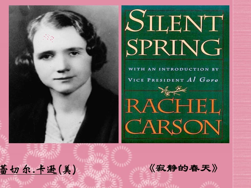 八年级生物上册第三节动物在生物圈中的作用课件新人教版 (2).ppt_第2页